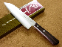 Miyabi Issin 6.6 Inch Santoku Knife